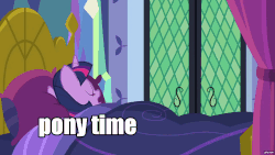 Size: 1920x1080 | Tagged: safe, edit, edited screencap, screencap, fluttershy, twilight sparkle, alicorn, pony, a health of information, g4, animated, bed, bedroom, caption, crazy face, duo, faic, female, floppy ears, gif, gifs.com, good morning, image macro, in-universe pegasister, meme, morning, morning ponies, pillow on head, pony time, text, time for ponies, twilight sparkle (alicorn), twilight's castle, wake up