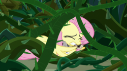 Size: 2100x1178 | Tagged: safe, screencap, fluttershy, ferret, mouse, pegasus, pony, rabbit, g4, the beginning of the end, animal, cowering, eyes closed, female, gritted teeth, mare, protecting, scared, thorn, vine