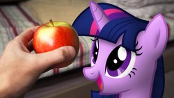Size: 1280x720 | Tagged: safe, artist:stormxf3, twilight sparkle, alicorn, pony, twilight's apple, g4, the ticket master, apple, blanket, female, food, irl, photo, ponies in real life, smiling, solo, youtube link