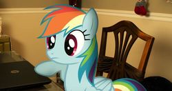 Size: 764x402 | Tagged: safe, artist:soniccrew128, rainbow dash, pegasus, pony, g4, chair, computer, irl, laptop computer, photo, ponies in real life, sitting, solo, table