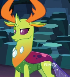 Size: 979x1080 | Tagged: safe, screencap, thorax, changedling, changeling, g4, uprooted, changeling king, king thorax, male, raised eyebrow, solo, thorax is not amused, unimpressed