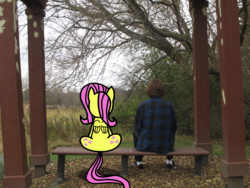 Size: 4000x3000 | Tagged: safe, fluttershy, human, g4, bench, irl, irl human, nature, photo, tree