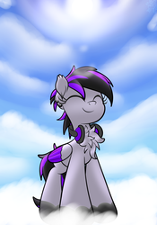 Size: 3000x4290 | Tagged: safe, artist:php142, oc, oc only, pegasus, pony, accessory, chest fluff, cloud, commission, ear fluff, ear piercing, earring, eyes closed, female, headphones, jewelry, outdoors, piercing, sky, solo, standing, standing on a cloud