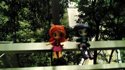 Size: 2560x1440 | Tagged: safe, rarity, sunset shimmer, equestria girls, g4, changi airport, doll, female, hsbc rain vortex, irl, photo, singapore, toy, tree, waterfall