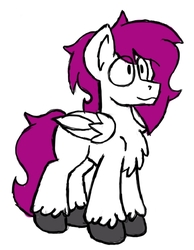 Size: 681x879 | Tagged: safe, artist:drheartdoodles, oc, oc only, oc:dr.heart, clydesdale, pegasus, pony, chest fluff, digital, male, simple background, smiling, solo, stallion, unshorn fetlocks, white background