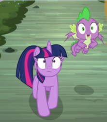 Size: 794x899 | Tagged: safe, screencap, spike, twilight sparkle, alicorn, dragon, pony, g4, uprooted, cropped, duo, female, looking up, male, mare, shocked, shrunken pupils, twilight sparkle (alicorn), winged spike, wings