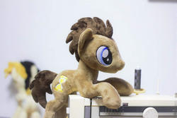 Size: 1280x854 | Tagged: safe, artist:rtryart, doctor whooves, time turner, earth pony, pony, g4, beanie (plushie), irl, male, photo, plushie, solo, stallion