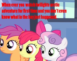 Size: 2048x1638 | Tagged: safe, editor:undeadponysoldier, apple bloom, scootaloo, sweetie belle, g4, caption, confused, cutie mark crusaders, image macro, meme, text, twilight's arctic adventure