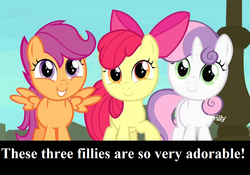 Size: 1280x896 | Tagged: safe, edit, edited screencap, editor:korora, screencap, apple bloom, scootaloo, sweetie belle, earth pony, pegasus, pony, unicorn, g4, surf and/or turf, adorabloom, bow, captain obvious, cute, cutealoo, cutie mark crusaders, diasweetes, discovery family logo, female, filly, foal, hair bow, spread wings, text, trio, truth, wings