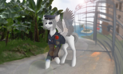 Size: 4000x2413 | Tagged: safe, oc, oc:light knight, pegasus, pony, clothes, complex background, hat, jacket, solo, sunglasses, tropico