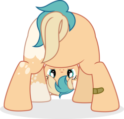 Size: 3280x3140 | Tagged: safe, artist:cirillaq, oc, oc only, oc:sun light, pony, butt, commission, female, high res, mare, plot, simple background, solo, transparent background, vector