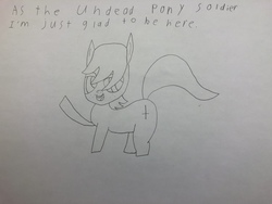 Size: 4032x3024 | Tagged: safe, artist:undeadponysoldier, oc, oc:the undead pony soldier, pony, inverted cross