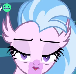 Size: 588x572 | Tagged: safe, screencap, silverstream, hippogriff, g4, uprooted, cropped, faic, female, great moments in animation, lidded eyes, mid-blink screencap, solo