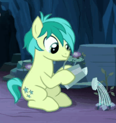 Size: 239x254 | Tagged: safe, screencap, sandbar, earth pony, pony, g4, uprooted, animated, clumsy, cropped, gif, male, sapling, solo, stallion, water, watering can