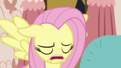 Size: 640x359 | Tagged: safe, screencap, fluttershy, pegasus, pony, discordant harmony, g4, season 7, animated, cute, female, floppy ears, frown, mare, shyabetes, solo