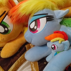 Size: 2559x2559 | Tagged: safe, artist:ponimalion, applejack, rainbow dash, pegasus, pony, g4, bed, bedroom eyes, couch, female, freckles, hat, high res, irl, life size, lying, lying on bed, mare, photo, plushie, sofa bed, wings
