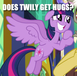 Size: 631x628 | Tagged: safe, edit, edited screencap, screencap, twilight sparkle, alicorn, pony, g4, the beginning of the end, caption, cropped, cute, hug request, image macro, pleading, question, text, twiabetes, twilight sparkle (alicorn)