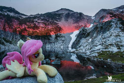 Size: 1920x1280 | Tagged: safe, artist:natureshy, artist:p0w3rporco, fluttershy, bat pony, pony, g4, bat ponified, bedroom eyes, equestria: into the wild, flutterbat, irl, lake, mountain, mountain range, photo, photography, plushie, ponies around the world, race swap, reflection, rock, sunset, washington, water