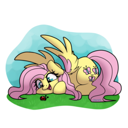 Size: 2800x2800 | Tagged: safe, artist:spoopygander, fluttershy, ladybug, pegasus, pony, g4, colored wings, cute, female, happy, high res, looking at something, lying down, mare, multicolored wings, open mouth, shyabetes, smiling, solo, spread wings, squishy cheeks, two toned wings, wing fluff, wings