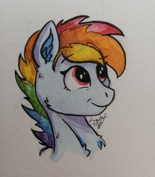 Size: 1918x2192 | Tagged: safe, artist:lightisanasshole, rainbow dash, pegasus, pony, g4, :t, alternate hairstyle, bust, ear fluff, female, fluffy, neck fluff, painting, rainbow, red eyes, smiling, smirk, solo, traditional art, watercolor painting