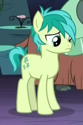 Size: 290x435 | Tagged: safe, screencap, sandbar, yona, earth pony, pony, g4, uprooted, cropped, hooves, male, offscreen character