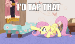 Size: 564x335 | Tagged: safe, edit, edited screencap, screencap, fluttershy, pony, discordant harmony, g4, animated, caption, cute, fainting couch, female, gif, image macro, impact font, pun, shyabetes, solo, tapping, text