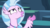 Size: 1920x1080 | Tagged: safe, screencap, silverstream, classical hippogriff, hippogriff, g4, my little pony: friendship is magic, uprooted, female, solo