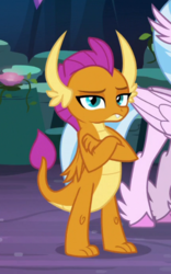 Size: 374x599 | Tagged: safe, screencap, silverstream, smolder, dragon, g4, uprooted, cropped, crossed arms, dragoness, female