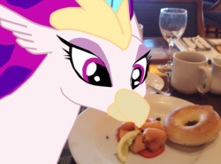 Size: 2851x2115 | Tagged: safe, artist:oceanrailroader, queen novo, pony, g4, my little pony: the movie, bagel, bread, food, high res, irl, photo, ponies in real life
