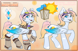 Size: 1833x1200 | Tagged: safe, artist:hakkids2, oc, oc only, oc:sunny cloud, pegasus, pony, clothes, goggles, markings, reference sheet, solo