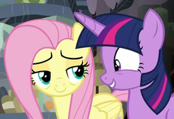 Size: 950x650 | Tagged: safe, screencap, fluttershy, twilight sparkle, pony, a health of information, g4, bags under eyes, duo, lidded eyes