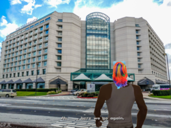 Size: 2000x1500 | Tagged: safe, pony, babscon, babscon 2019, barely pony related, carl johnson, convention, grand theft auto, gta san andreas, here we go again, irl, meme, photo