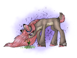 Size: 2048x1536 | Tagged: safe, artist:melonseed11, oc, oc only, oc:silent meadow, deer pony, original species, female, flower, solo