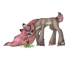 Size: 2048x1536 | Tagged: safe, artist:melonseed11, oc, oc only, oc:silent meadow, deer pony, original species, female, flower, simple background, solo, transparent background