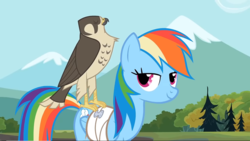 Size: 1920x1080 | Tagged: safe, screencap, rainbow dash, falcon, pony, g4, may the best pet win, bandage