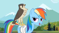 Size: 1920x1080 | Tagged: safe, screencap, rainbow dash, falcon, pony, g4, may the best pet win, bandage, lidded eyes, open mouth