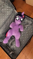 Size: 1152x2048 | Tagged: safe, twilight sparkle, pony, g4, irl, photo, plushie, suitcase, sunglasses