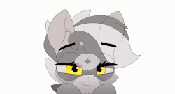 Size: 2000x1077 | Tagged: safe, artist:n0nnny, oc, oc only, oc:bandy cyoot, hybrid, pony, raccoon, raccoon pony, :3, :<, animated, birthday, birthday gift, blush sticker, blushing, cute, eye clipping through hair, female, frame by frame, gif, heart, kissing, looking at you, ocbetes, present, silly, simple background, smiling, smooch, solo, white background