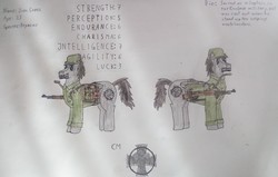 Size: 3219x2051 | Tagged: safe, artist:überreaktor, oc, oc only, oc:iron cross, pegasus, pony, fallout equestria, battle saddle, beard, clothes, dashite, facial hair, flask, gun, helmet, high res, reference sheet, rifle, s.p.e.c.i.a.l., solo, stahlhelm, traditional art, uniform, weapon, wings