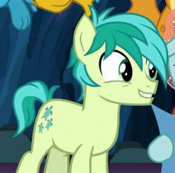 Size: 617x611 | Tagged: safe, screencap, gallus, ocellus, sandbar, smolder, changedling, changeling, dragon, earth pony, pony, g4, uprooted, cropped, cute, dragoness, excited, female, male, offscreen character, paws, sandabetes, smiling, solo focus, teenager, the place where we belong