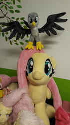 Size: 2322x4128 | Tagged: safe, fluttershy, gabby, g4, female, irl, photo, plushie