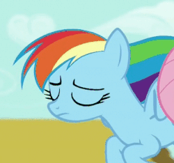 Size: 380x356 | Tagged: safe, screencap, rainbow dash, pegasus, pony, flutter brutter, g4, animated, cropped, female, flying, reaction image, solo focus, surprised