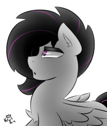 Size: 1542x1809 | Tagged: safe, artist:kingkrail, oc, oc only, oc:carbon scratch, pony, simple background, solo, transparent background
