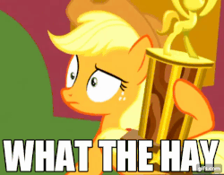 Size: 640x500 | Tagged: safe, edit, edited screencap, screencap, applejack, pony, appleoosa's most wanted, g4, season 5, animated, caption, female, gif, gifs.com, image macro, reaction, solo, surprised, text, trophy, what the hay?