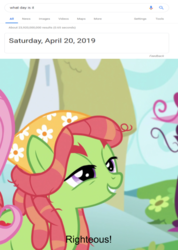 Size: 537x753 | Tagged: safe, edit, edited screencap, editor:countcoltnackh, screencap, fluttershy, tree hugger, earth pony, pegasus, pony, g4, make new friends but keep discord, 420, april 20th, cropped, dreadlocks, google, meme, ponyville, righteous, text