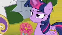 Size: 1920x1080 | Tagged: safe, screencap, shining armor, twilight sparkle, alicorn, pony, unicorn, g4, sparkle's seven, flower, lidded eyes, out of context, smuglight sparkle, twilight sparkle (alicorn)