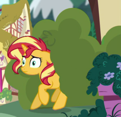 Size: 555x533 | Tagged: safe, screencap, sunset shimmer, pony, equestria girls, g4, spring breakdown, bush, cropped, female, solo