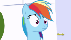 Size: 826x464 | Tagged: safe, screencap, rainbow dash, pony, g4, sparkle's seven, animated, duckface, female, gif, rejection