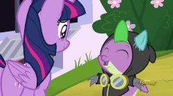 Size: 826x464 | Tagged: safe, screencap, fluttershy, rainbow dash, rarity, spike, twilight sparkle, alicorn, dragon, pony, g4, sparkle's seven, animated, clothes, costume, dangerous mission outfit, denied, gif, goggles, hoodie, poor spike, twilight sparkle (alicorn), winged spike, wings