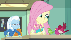 Size: 1280x720 | Tagged: safe, screencap, fluttershy, trixie, a little birdie told me, equestria girls, g4, my little pony equestria girls: better together, female